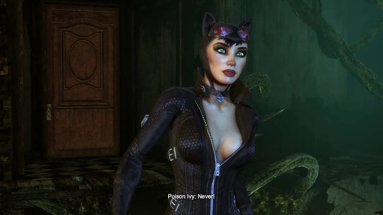 Селина Кайл Бэтмен Аркхем Сити. Catwoman Arkham. Женщина кошка Бэтмэн Аркхем Сити. Селина Кайл Batman Arkham Knight.