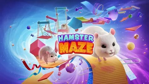 Online hamster maze game - forfreetyred.