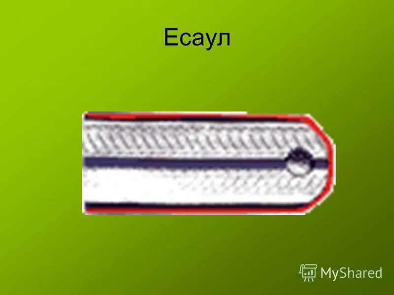 сколько есаул. пистолет кедр - есаул травмат. погоны казаков кубанского казачьего войска. есаул патроны пдт-9т. погоны чинов войска донского.