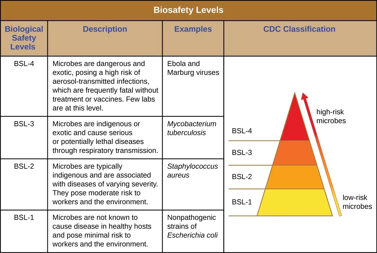 Уровне 1 36. Biosafety Level 4 Lab. BSL классификация. BSL 1 уровень лаборатории. Biosafety Level 1 Lab.