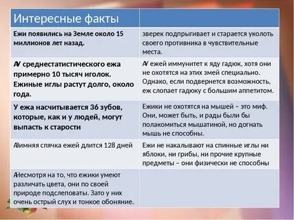 Интересные факты о еже