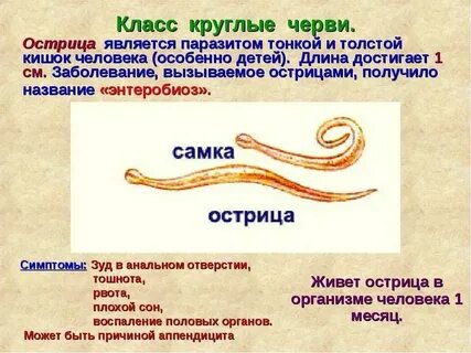 Классы круглых