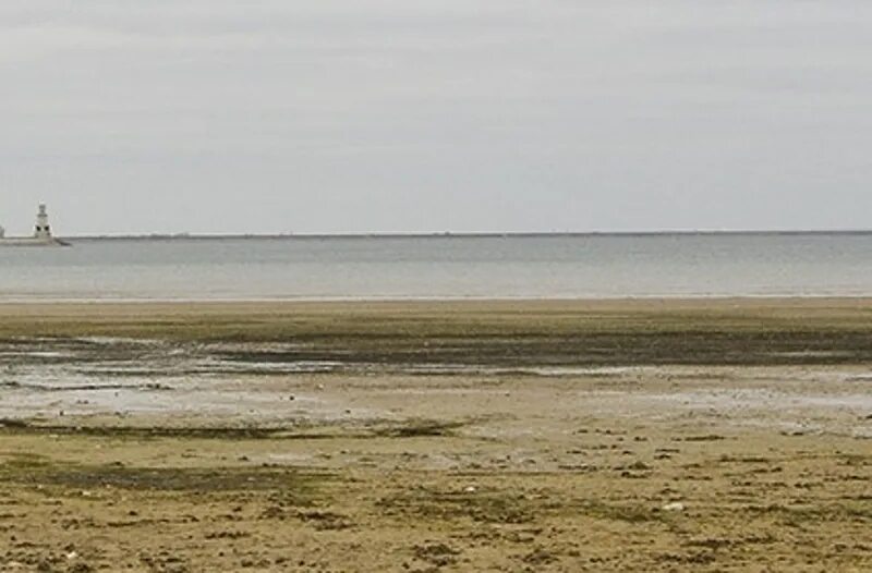 Цимлянское водохранилище пересохло. Цимлянское водохранилище высохло. Сухое Цимлянское водохранилище. Цимлянское водохранилище Морозовск. Цимлянское водохранилище уровень воды на сегодня