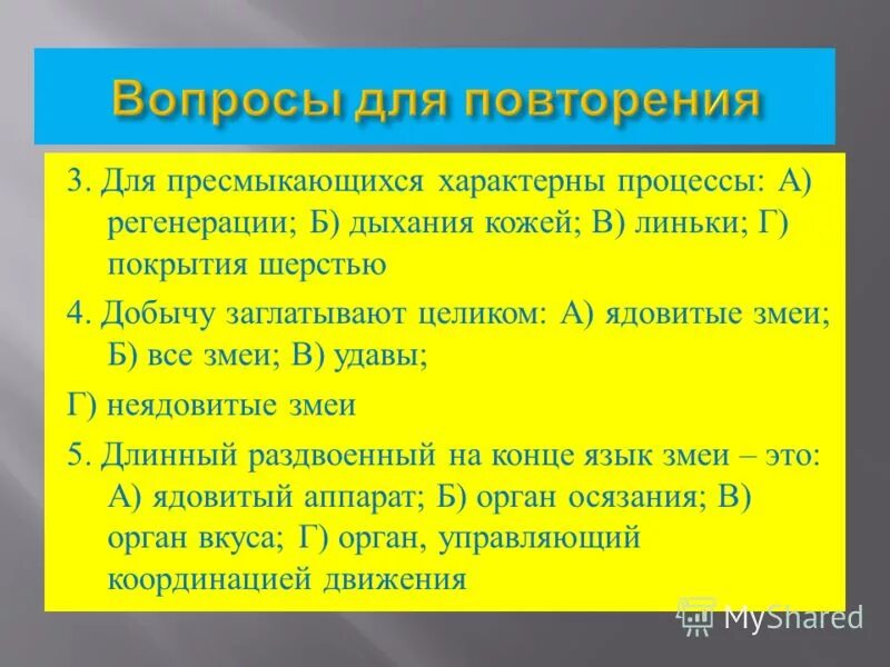 пресмыкающиеся презентация. для пресмыкающихся характерны процессы. разнообразие пресмыкающихся 7. для пресмыкающихся характерны процессы. предки пресмыкающихся.