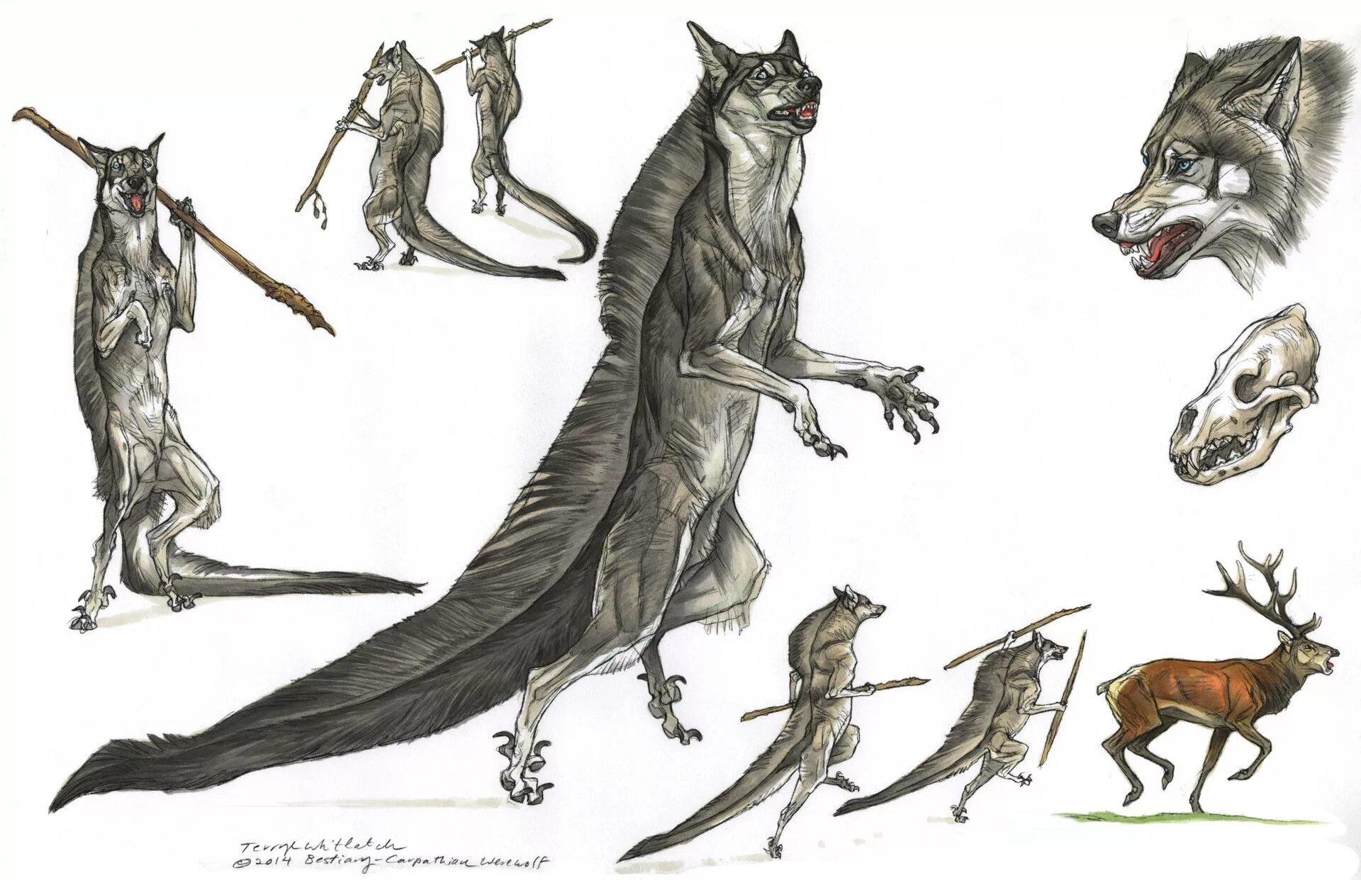 Creatures of sonaria monster kaiju animal. Terryl Whitlatch. Иллюстрации Terryl Whitlatch. Йотунхель Сонария. JOTUNHEL Сонария.