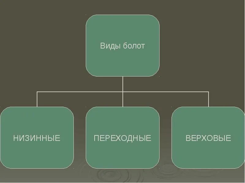 Болото по составу. Виды болот. Виды болот низинные и верховые. Виды образования болот. Виды болот схема.