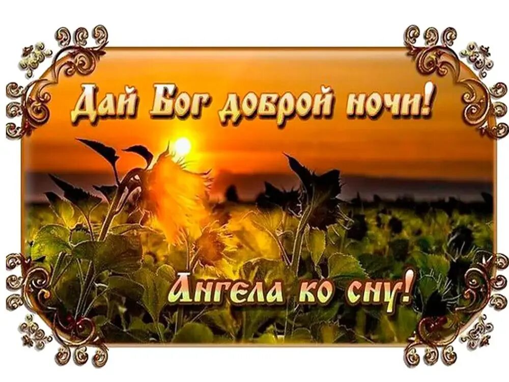 Дай бог завтра