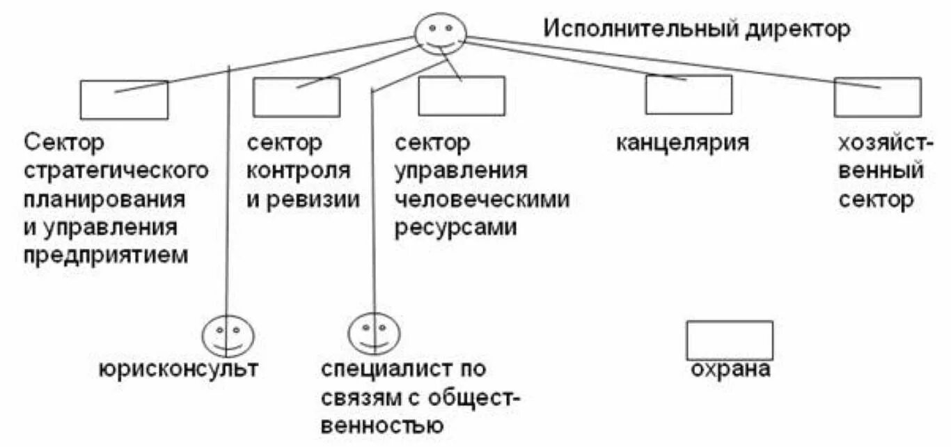 Директор и генеральный директор отличия. Генеральный директор и исполнительный директор. Генеральный директор исполнительный директор иерархия. Структура компании с исполнительным директором. Исполнительный и генеральный директор разница.