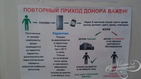 Сдать накануне