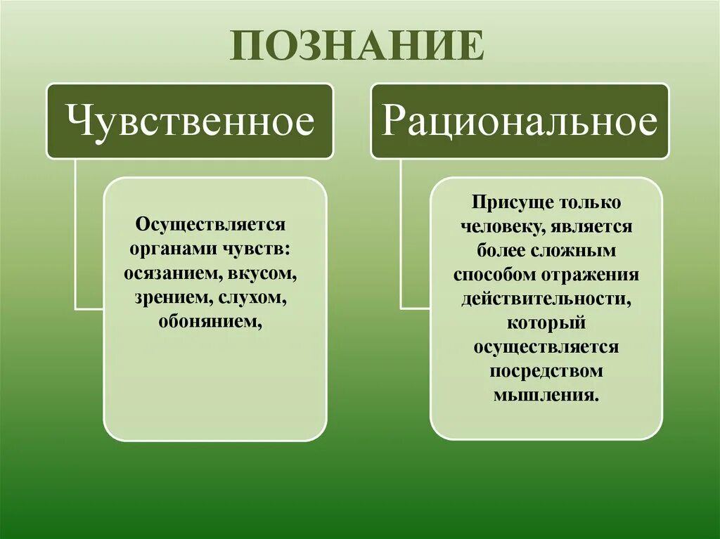 Чувственное познание это в обществознании. Чувственное и рациональное Познан е.