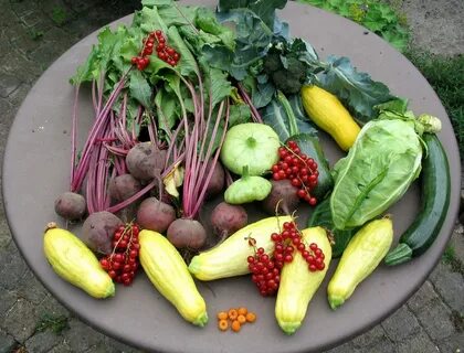 Овощи которые срывают руками