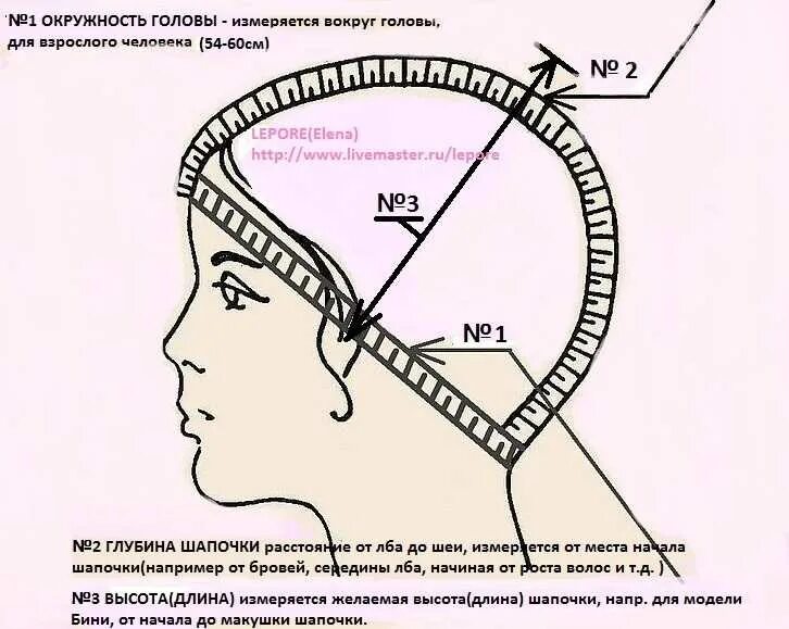 Правильный затылок. Мерки для шапки вязание спицами. Окружность головы мерки для шапки. Как замерить голову для вязания шапки. Снятие мерок головы для вязания шапки.