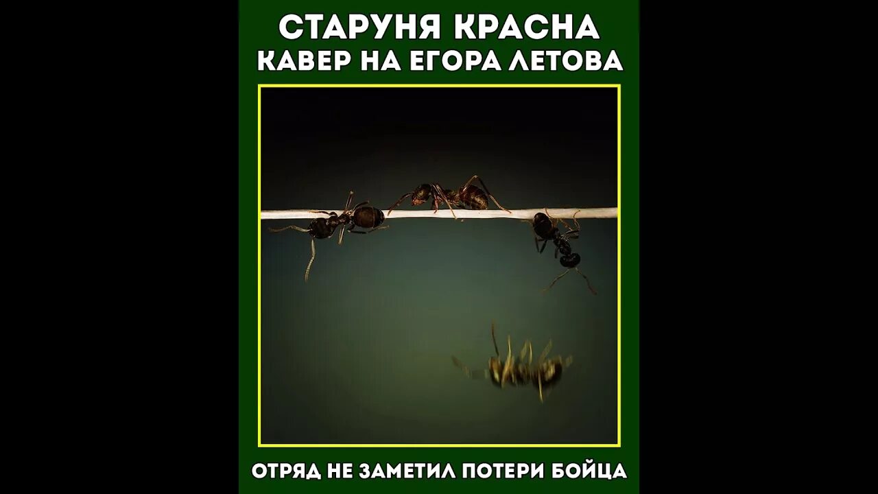 Отряд не заметил потери бойца табы. Отряд не заметил потери. Отряд не заметил потери бойца прикол. Не заметил потери бойца.