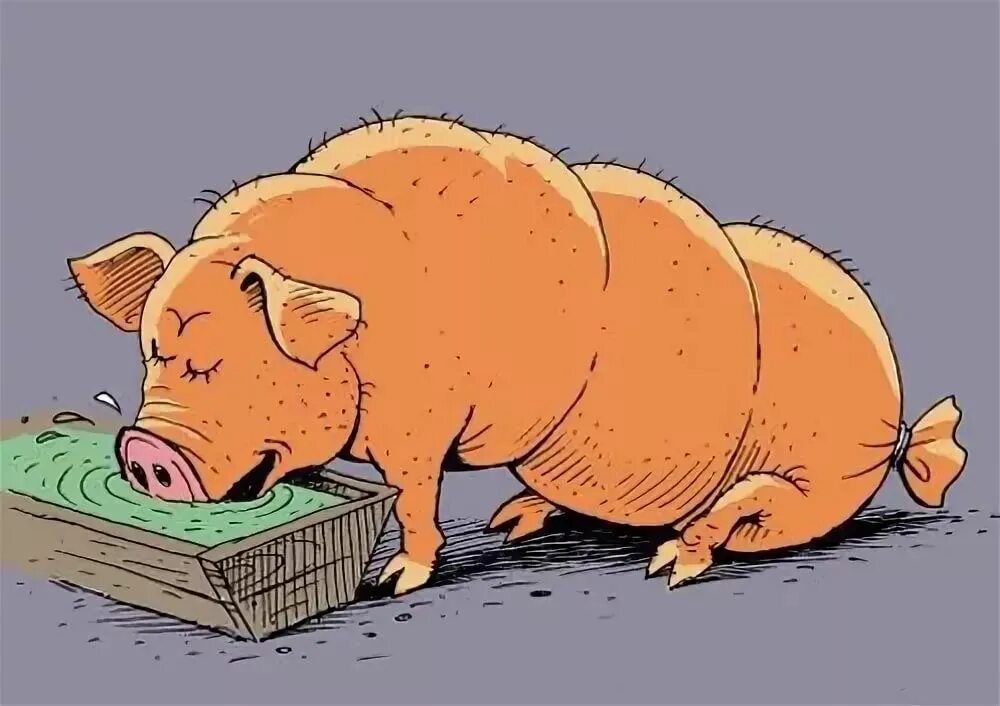 Свинка говорит. Прикольная свинья. Свиноматка карикатура. Карикатурная свинья. Карикатурное изображение свиньи.