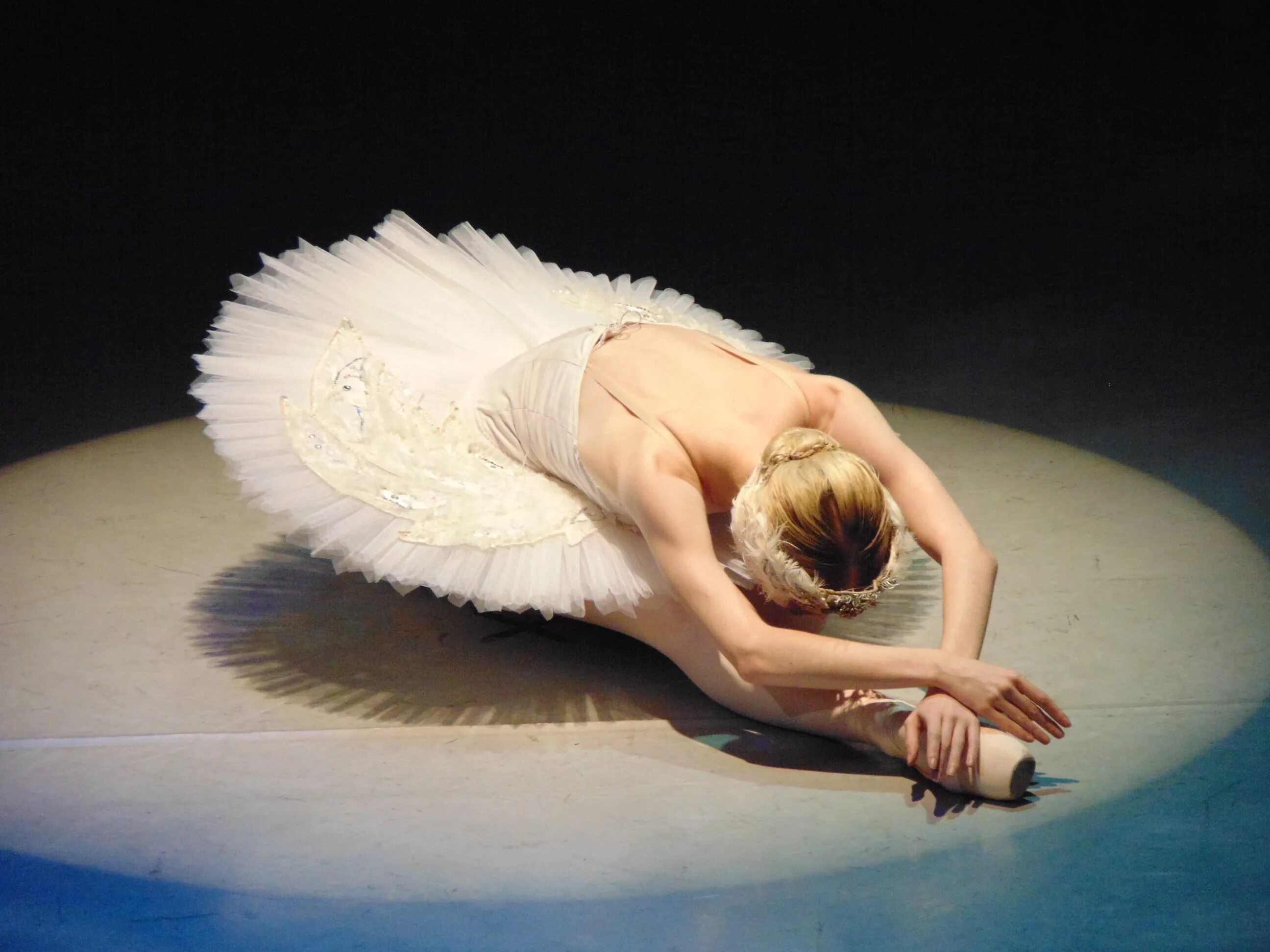 Ульяна лопаткина в балете «лебединое озеро». Лучший умирающий лебедь. Ульяна лопаткина балерина. Анна павлова в балете лебединое озеро. Птица балерина.
