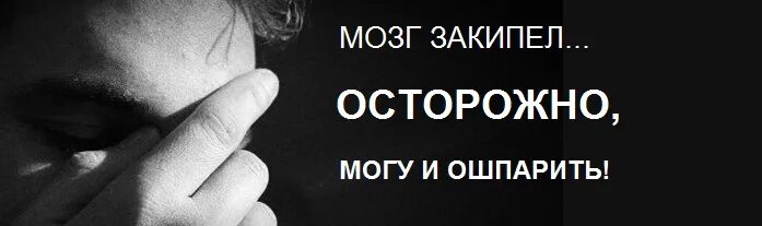 Среда мозгов