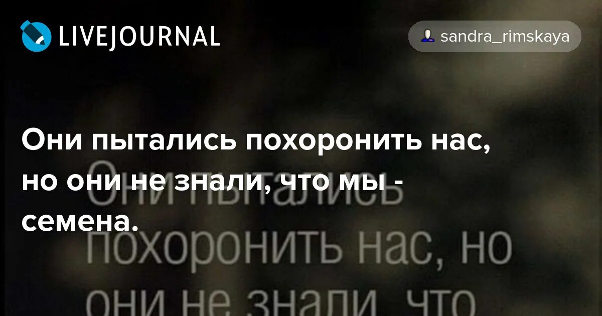 Картинка они хотели нас похоронить но они не знали что мы семена. Они не знали что мы семена. Они хотели нас похоронить но не знали что мы семена. Но они не знали что мы семена. Они пытались похоронить нас но они не знали что мы семена.
