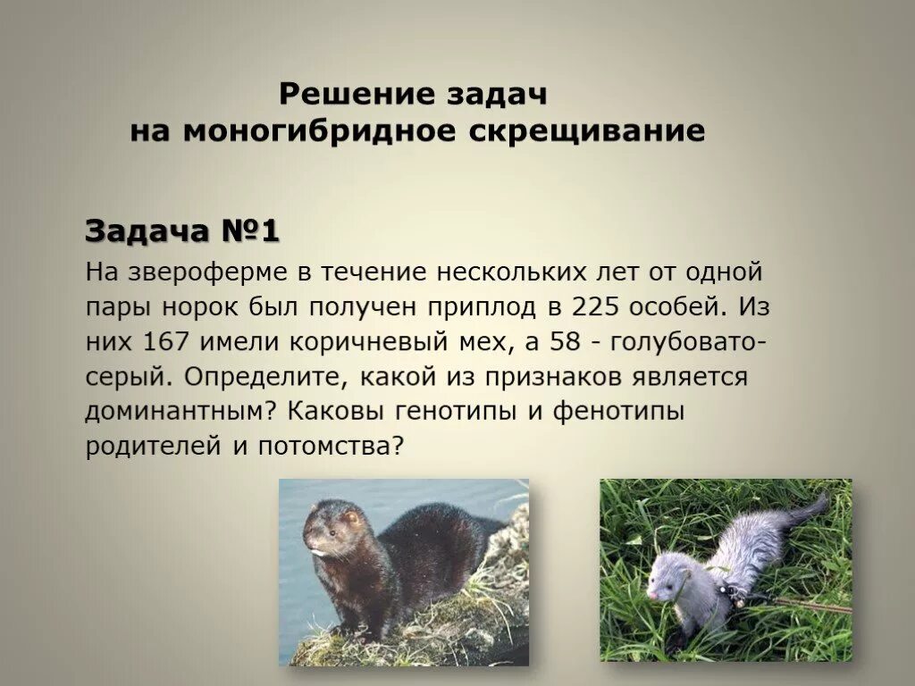 В течение нескольких