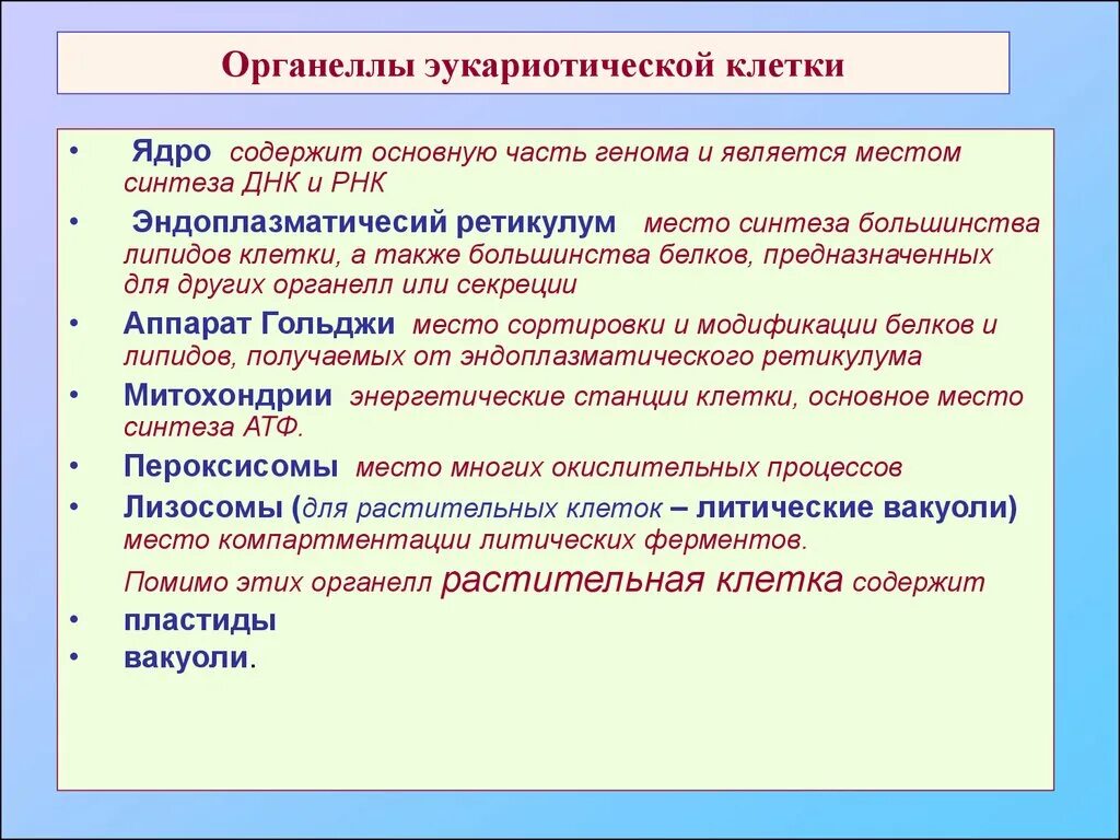 Все органоиды эукариотической клетки. Органелла эукариотической. Органеллы эукариотической клетки. Органеллы и их свойства. Органоидами клетки эукариотической являются