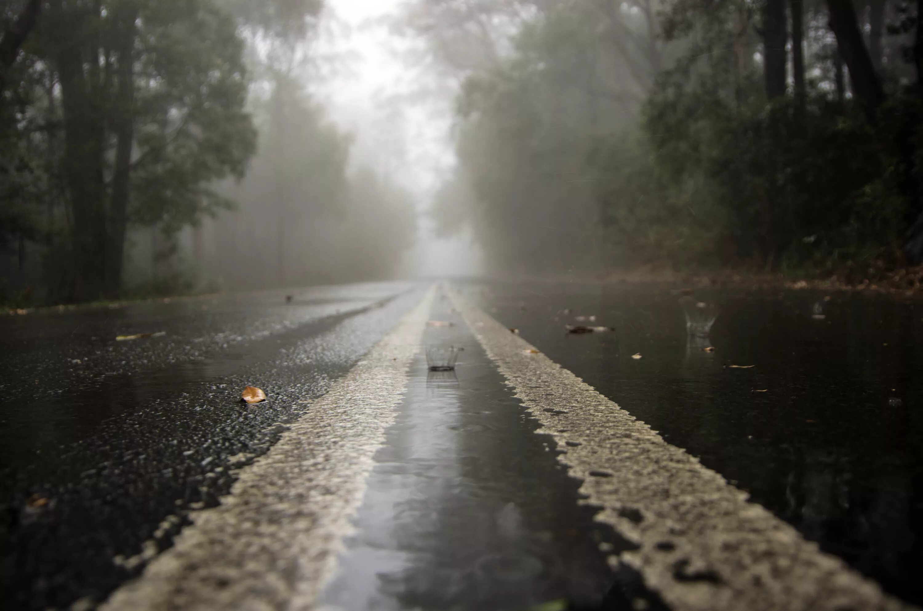 Дождь в дорогу примета. Мокрая дорога. Дождь. Дождь и туман. Дорога дождь.