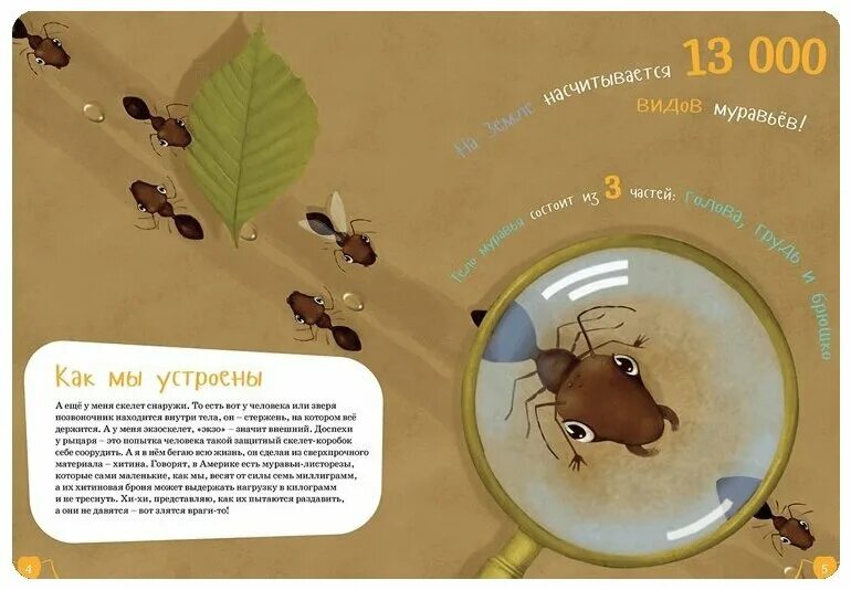 Я муравей книга. Книги о муравьях для детей. Энциклопедия о муравьях. Обиженный муравей