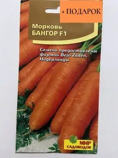 Морковь отзывы садоводов