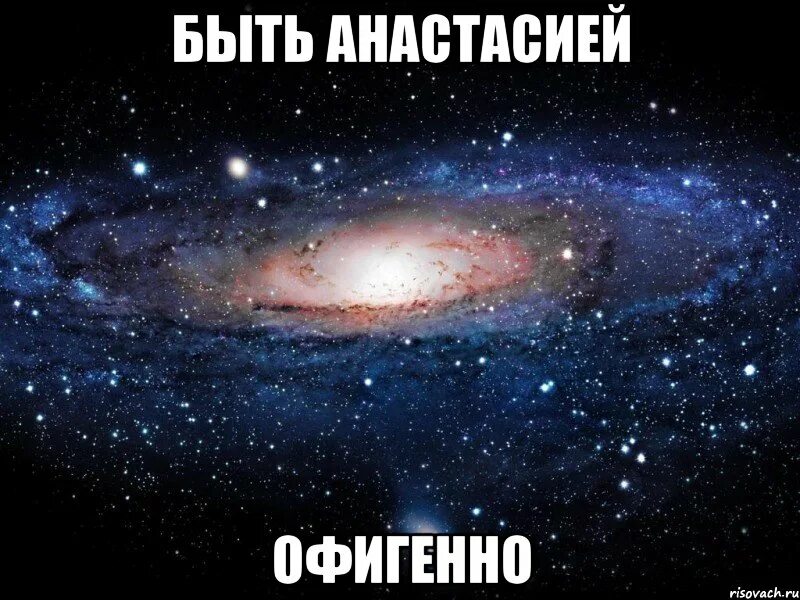 Покажи офигенный. Удивленный кот. Смешные кошки. Офигенный фон. Офигенно картинки.