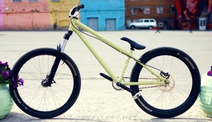 Timed out waiting for response from mongoose. Mongoose ritual dirt. mongoose ritual. mongoose ritual 2012. mongoose ritual dirt 2013.