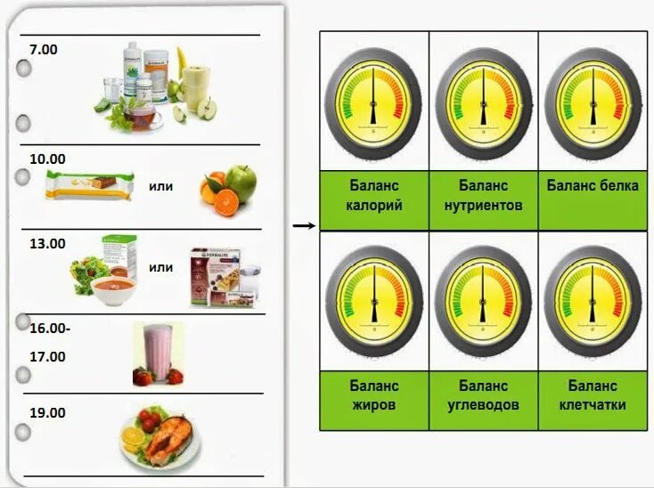 Диета гербалайф. Режим питания Гербалайф. Распорядок питания с Гербалайф. План питания на гербалайфе. Приемы пищи Гербалайф.