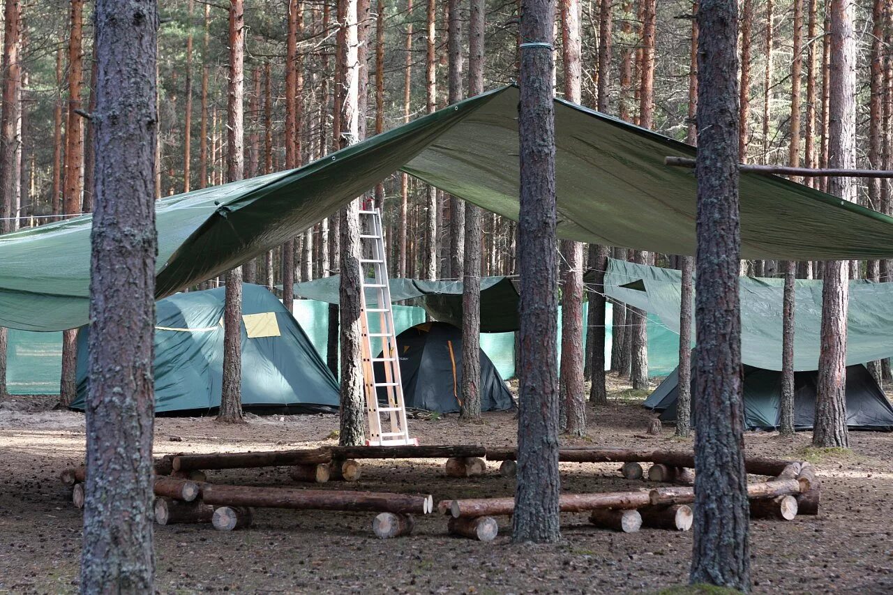 Кемпинг парк Ладога. Парк Ладога кемпинг в Ленинградской области. Кепинг лагерь. Зелёная роща кемпинг Ленинградская область. Автономный лагерь