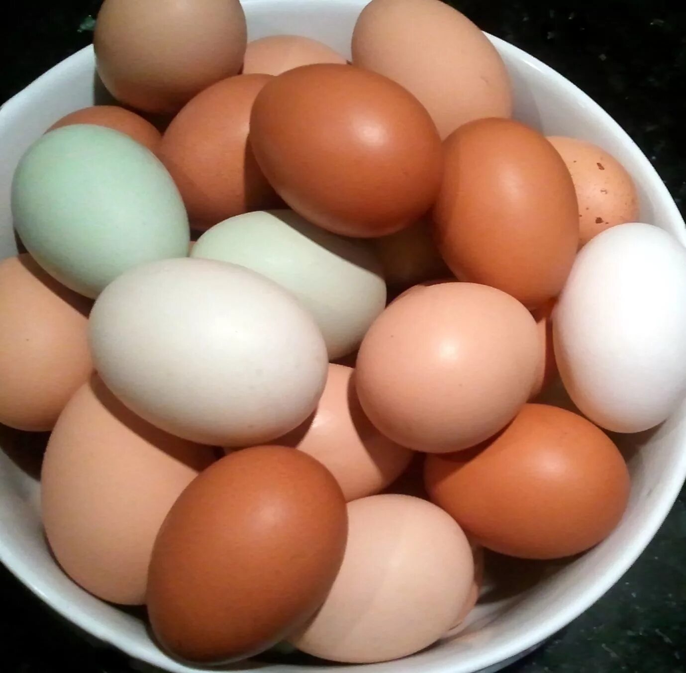 Инкубационное яйцо Амераукана Лаванда. Черный Маран яйца. Яйцо Маранов перепела. Яйцо чёрно-медного Марана.