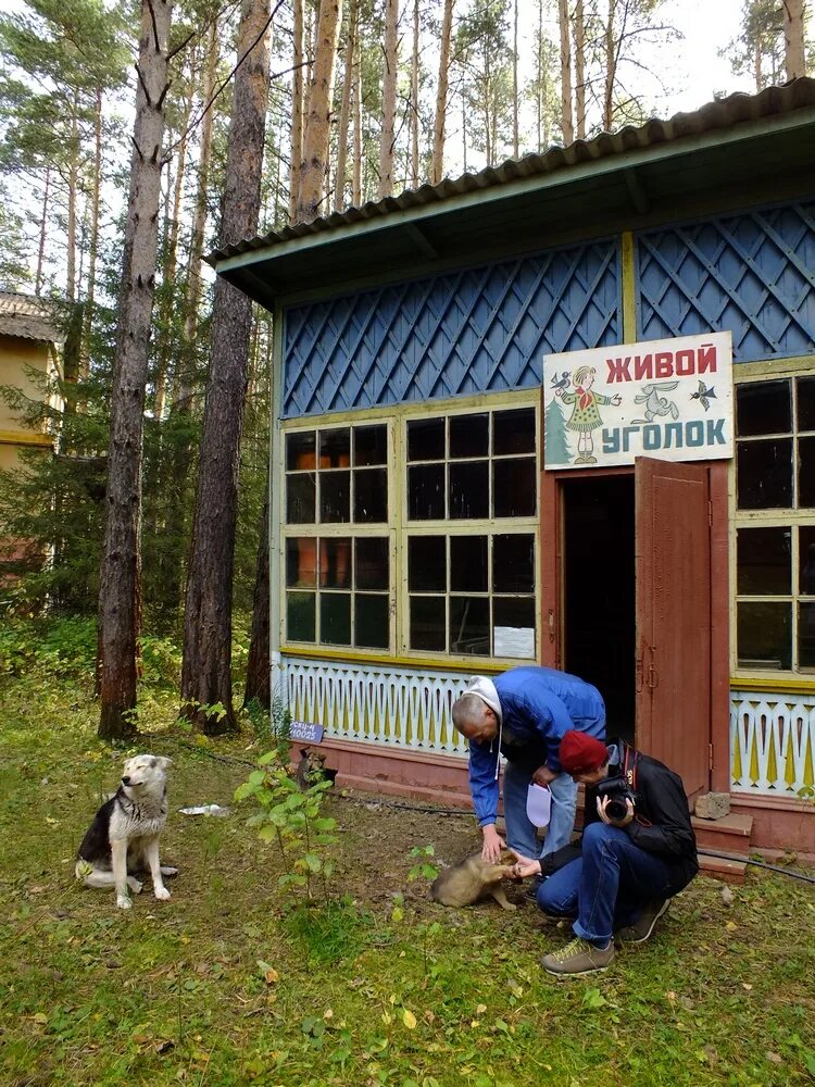 Лагерь мечта свердловская область. Юность свердловская область. Лагерь юность свердловская область. Лагерь юность ревда. Юность свердловская область.