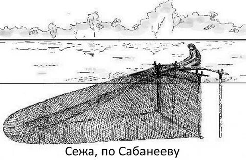 Ловля рыбы на основе управления