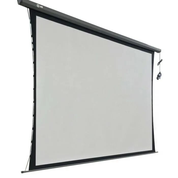 Cactus professional tension Motoscreen CS-PSPMT-168x299. Экран Cactus 183x244см Motoscreen. Рулонный матовый белый экран Cactus professional tension Motoscreen CS-PSPMT-149x265. Экран PSPMT 299. Рулонный настенно потолочный экран