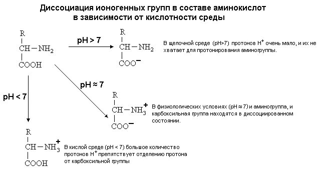 Глицин в щелочной среде