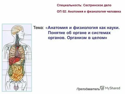 Анатомия это наука