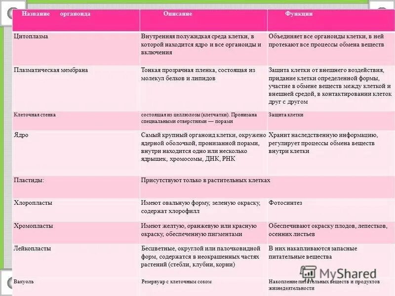 Название структуры строение функции таблица. Название структуры строение функции таблица