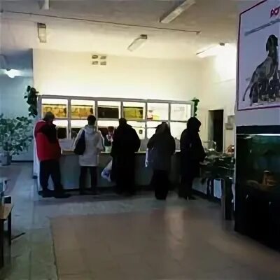 Золотая рыбка вольск