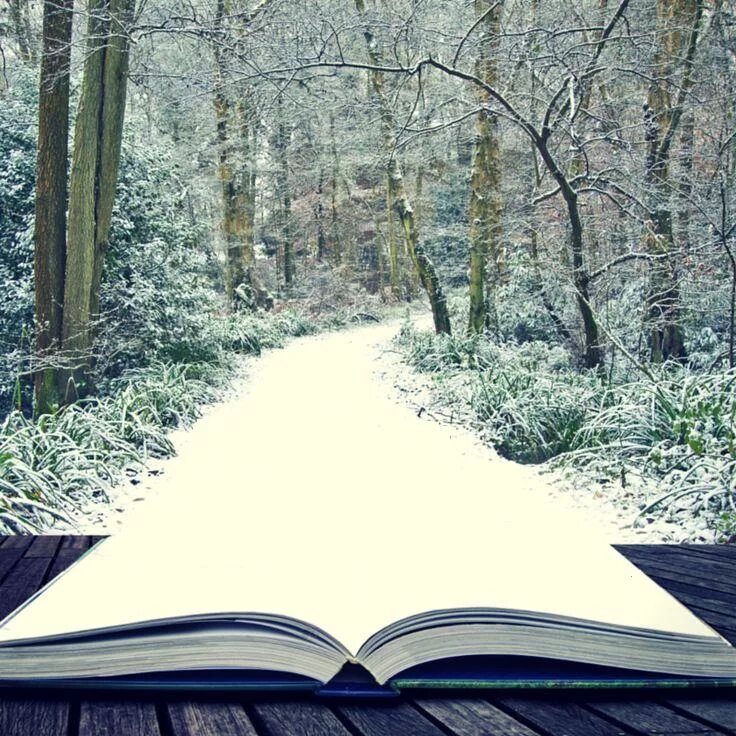Книга зима картинки. Зимняя книга. цитаты из книг. книжные цитаты. афоризмы про книги.