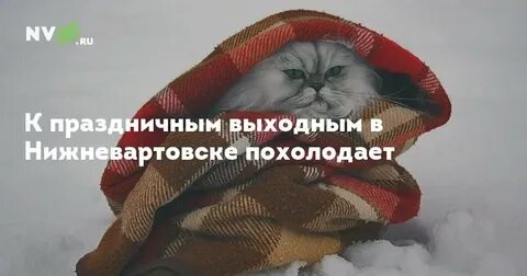 Похолодало доброе