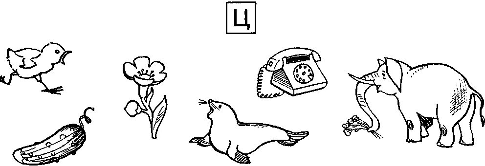 Звук ц задания для дошкольников. Предметы со звуком ц. Буква ц задания для дошкольников. Задания на дифференциацию звуков с-ц. Звук и буква ц для дошкольников