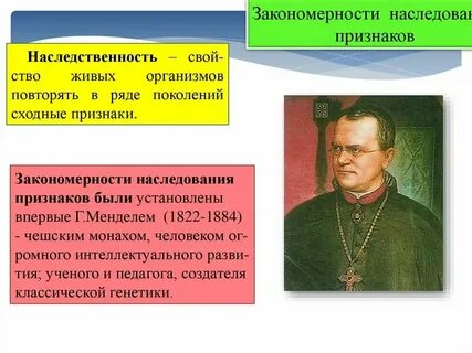 Какие признаки святого