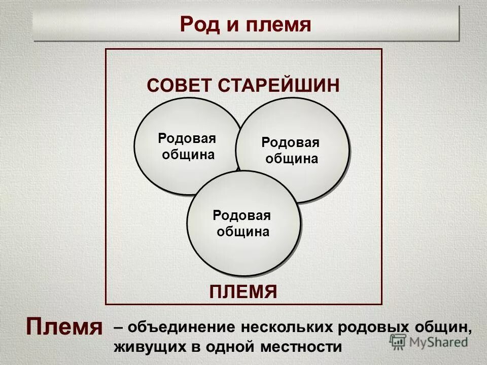 Без роду и племени значение. Без роду и племени значение. Без роду и племени значение. Признаки племени. Без роду и племени значение.