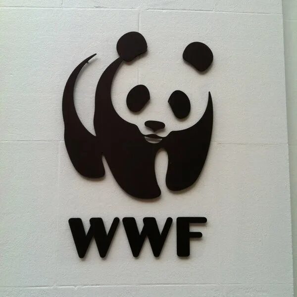 Video wwf. Панда символ всемирного фонда дикой природы. фонд защиты дикой природы wwf. фонд дикой природы wwf логотип. логотип с пандой wwf.