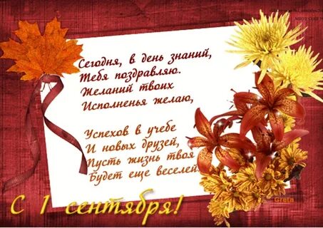 Красивые стихи к 1 сентября