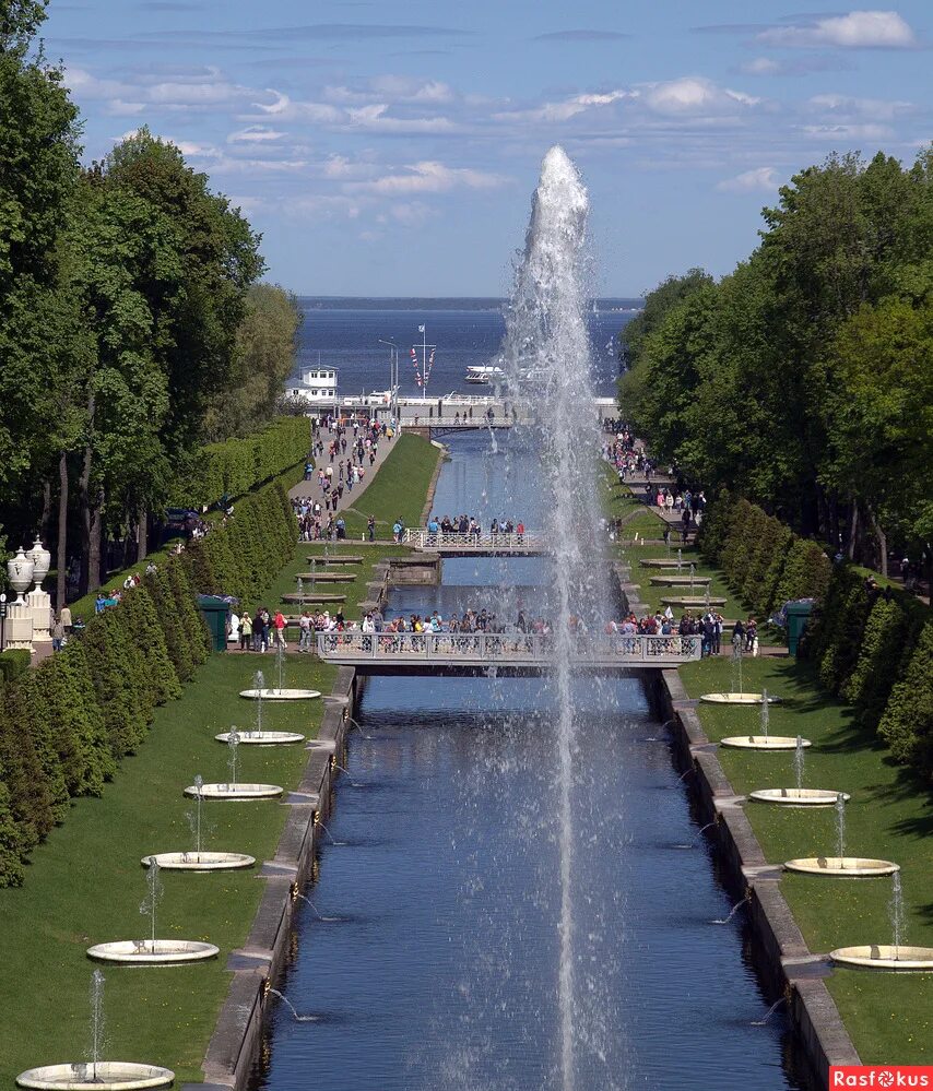 самсоновский канал в петергофе. аллея фонтанов в петергофе. морской канал в петергофе. каналы петергофа. вид на морской канал петергоф.