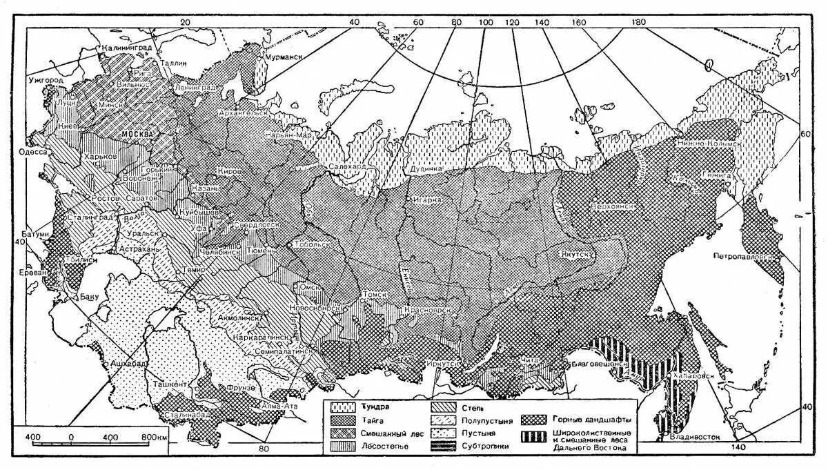 Контурная карта 8 класс природные зоны распечатать. Карта России черно белая природные зоны. Карта России с обозначением природных зон. Контурная карта природные зоны России 4 класс для раскрашивания. Контурная карта природных зон России черно белая.