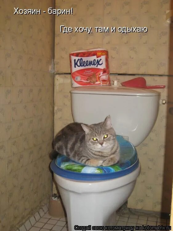 Хозяин барин что значит. Хозяин барин. Хозяин барин. Хозяин барин. Хозяин барин что значит.