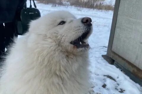 Отчаянно жду