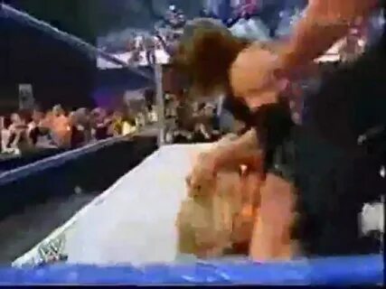 Stephanie mcmahon pedigree boob slip.